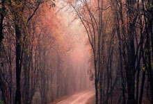 NBA上演“矛盾”巅峰对决 雷霆主场复仇骑士.