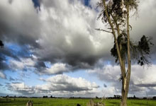 九游:世界杯亚洲区外围赛:朝鲜以0比1 输给乌兹别克斯坦.