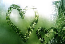 九游:德约科维奇:为什么受伤的总是我.