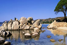 九游:谢文“宁”是谁?亚足联战报中将Xie Wenneng写为Xie Wenning.